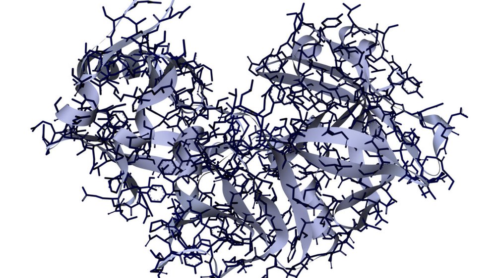 AI Tools Rebuild Protein-Cutting Enzymes by Swapping Out Their Structure
