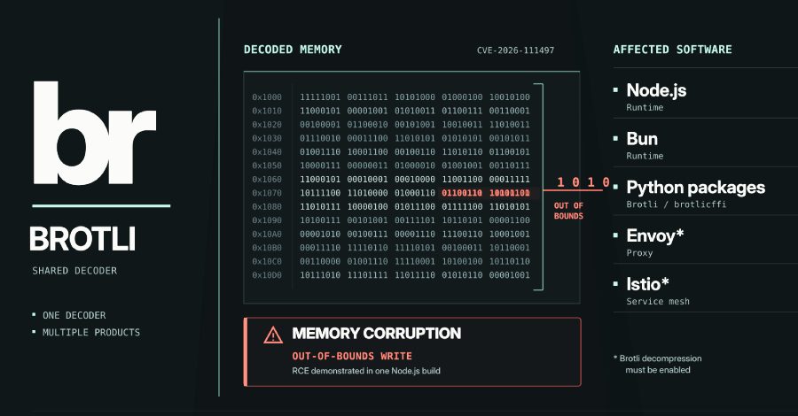 Brotli Decoder Bug Hits Bun, Python Packages and Envoy Alongside Node.js