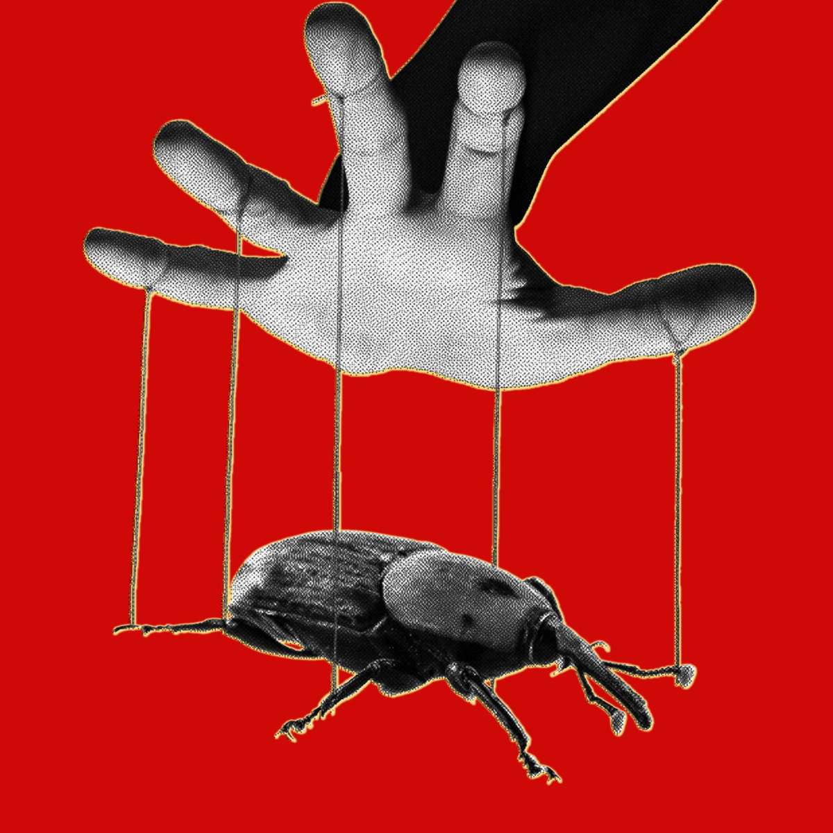 AI Turned Years-Old PHP Flaws Into a Live Security Scramble